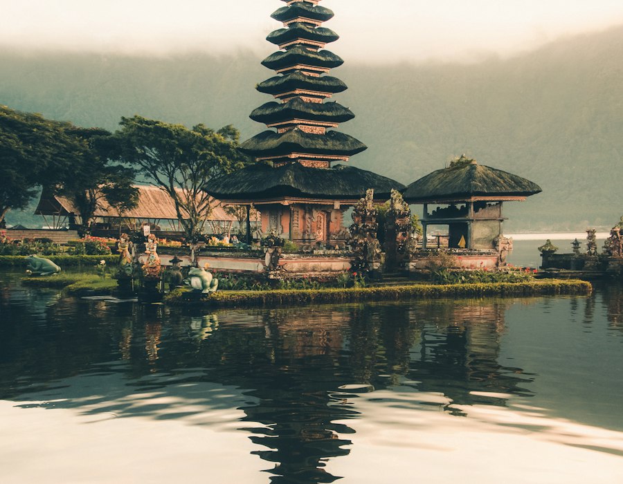 Bali rice terraces