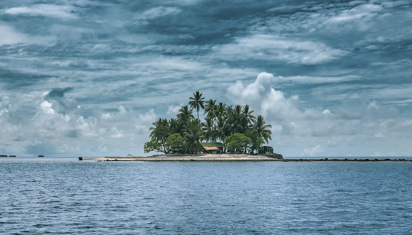 Palm-lined beach